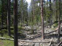 Old_Faithful_Loop_074.jpg Old_Faithful_Loop_074.jpg