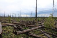 Old_Faithful_Loop_078.jpg Old_Faithful_Loop_078.jpg