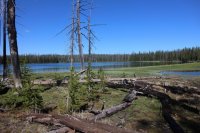 Old_Faithful_Loop_081.jpg Old_Faithful_Loop_081.jpg