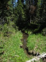 Old_Faithful_Loop_090.jpg Old_Faithful_Loop_090.jpg