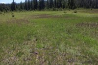 Old_Faithful_Loop_091.jpg Old_Faithful_Loop_091.jpg