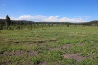 Old_Faithful_Loop_092.jpg Old_Faithful_Loop_092.jpg