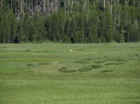 Old_Faithful_Loop_095.jpg Old_Faithful_Loop_095.jpg