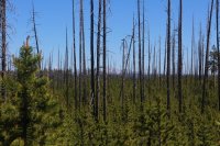 Old_Faithful_Loop_096.jpg Old_Faithful_Loop_096.jpg