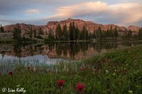 Untitled_Panorama WEB 2.jpg