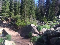 IMG_5324.JPG IMG_5324.JPG