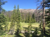 IMG_5333.JPG IMG_5333.JPG