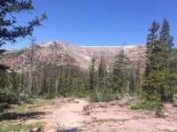 IMG_5340.JPG IMG_5340.JPG