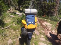 IMG_5343.JPG IMG_5343.JPG