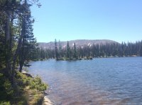 IMG_5354.JPG IMG_5354.JPG