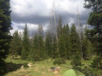 IMG_5427.JPG IMG_5427.JPG