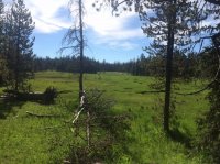 IMG_5436.JPG IMG_5436.JPG