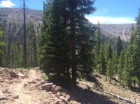 IMG_5443.JPG IMG_5443.JPG