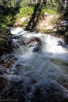 Mt Zirkel-RMNP-9.jpg