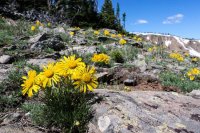 Mt Zirkel-RMNP-28.jpg