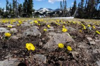 Mt Zirkel-RMNP-33.jpg