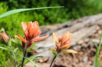 Mt Zirkel-RMNP-55.jpg