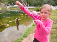 upload_2015-7-1_6-35-22.png upload_2015-7-1_6-35-22.png