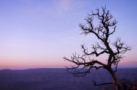 2015-06-29 08.15.37-2.jpg