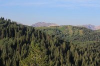 Millcreek_06.jpg Millcreek_06.jpg