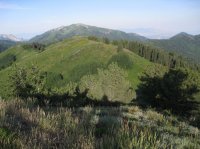 Millcreek_11.jpg Millcreek_11.jpg