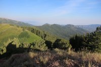 Millcreek_12.jpg Millcreek_12.jpg