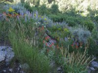 Millcreek_18.jpg Millcreek_18.jpg