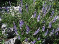 Millcreek_20.jpg Millcreek_20.jpg