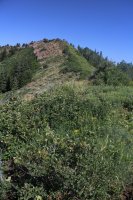 Millcreek_22.jpg Millcreek_22.jpg