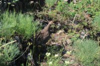 Millcreek_22c.jpg Millcreek_22c.jpg