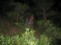 Millcreek_37.jpg Millcreek_37.jpg