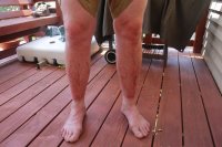 Millcreek_39.jpg Millcreek_39.jpg