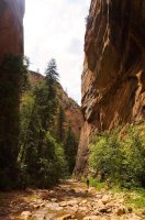 2015-06-26 17.11.14.jpg