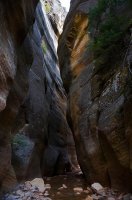 2015-06-26 18.32.47.jpg