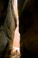 2015-06-26 18.35.32.jpg