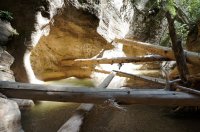 2015-06-26 18.58.09.jpg