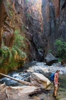 2015-06-27 12.27.42.jpg