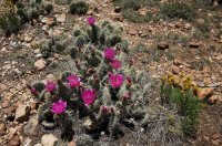 2015-06-28 15.03.05.jpg