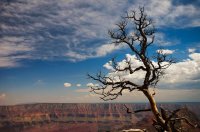 2015-06-28 17.29.34-2-1.jpg