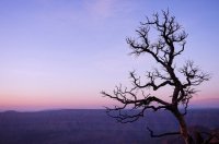 2015-06-29 08.15.37-2-1.jpg