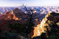 2015-06-29 09.01.07-1.jpg