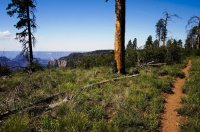 2015-06-29 13.01.42.jpg