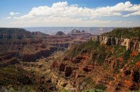 2015-06-29 13.45.06-2.jpg