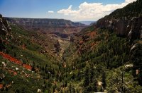 2015-06-29 15.15.02.jpg