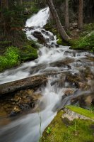 596-gunsight creek big boulder lakes-800px.jpg