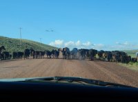 DSCN1157.JPG DSCN1157.JPG