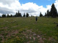 DSCN1188.JPG DSCN1188.JPG