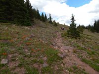 DSCN1200.JPG DSCN1200.JPG