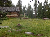 DSCN1217.JPG DSCN1217.JPG