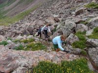 DSCN1246.JPG DSCN1246.JPG